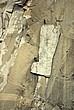 NF1018009.JPG