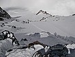 IMGP3323.JPG