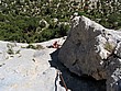 IMG_1105.jpg