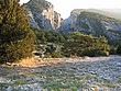 IMG_1134.jpg