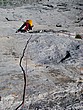 wenden-16.jpg